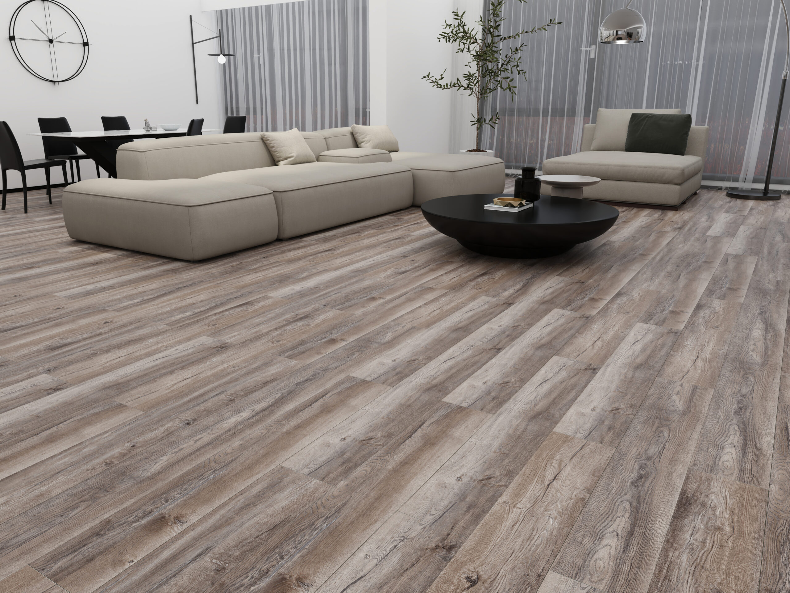 Forest Hanover AC-4 / 5G